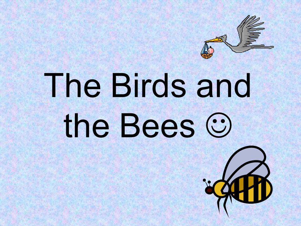The Birds and the Bees.
