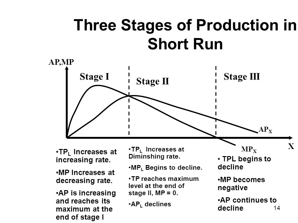 stages of production function