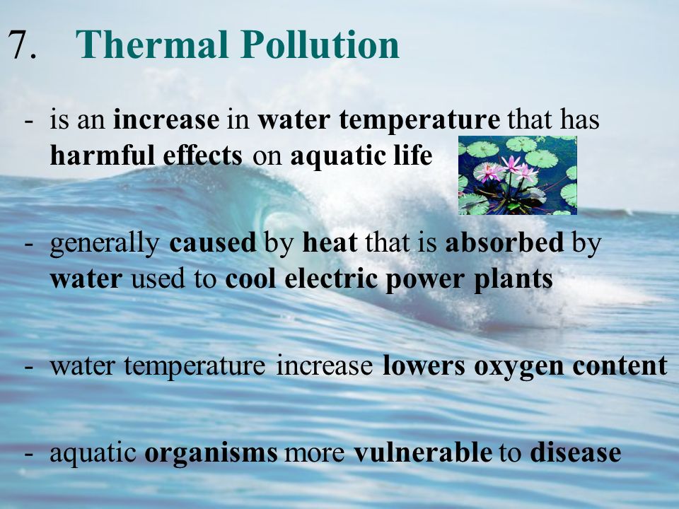 effects of thermal pollution on aquatic life