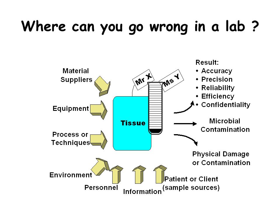 Where can you go wrong in a lab