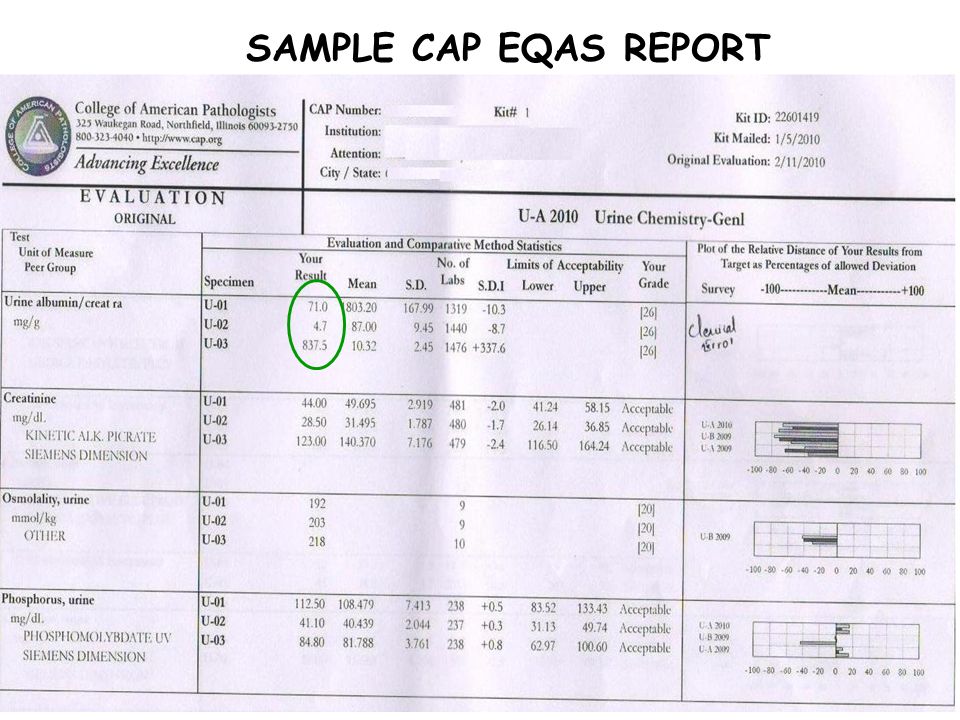 SAMPLE CAP EQAS REPORT