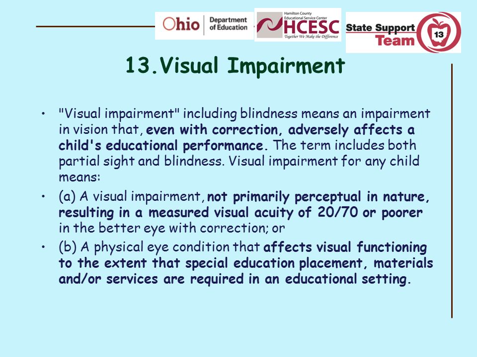 13.Visual Impairment