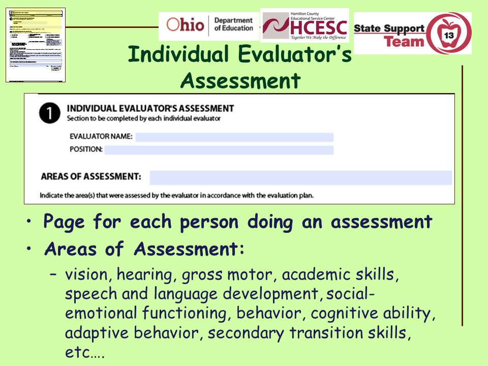 Individual Evaluator’s Assessment
