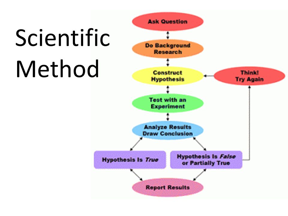 Scientific Method Take out a piece of paper and copy this graphic organizer on the full sheet of paper.