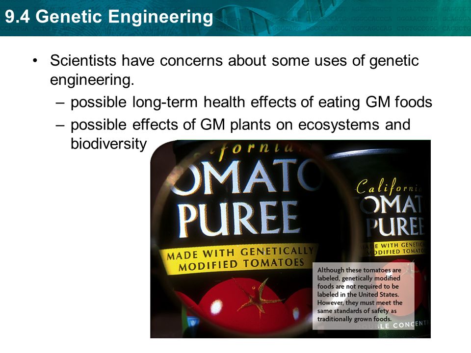 Scientists have concerns about some uses of genetic engineering.