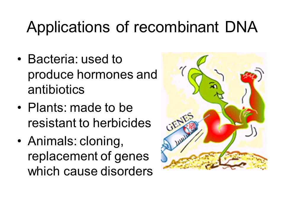 Applications of recombinant DNA