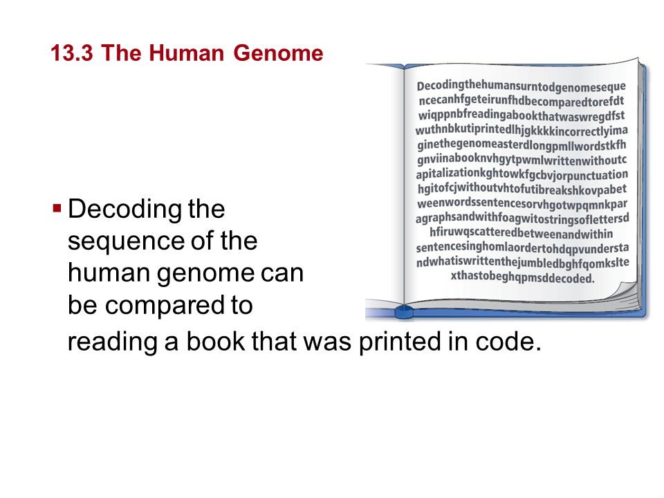Decoding the sequence of the human genome can be compared to
