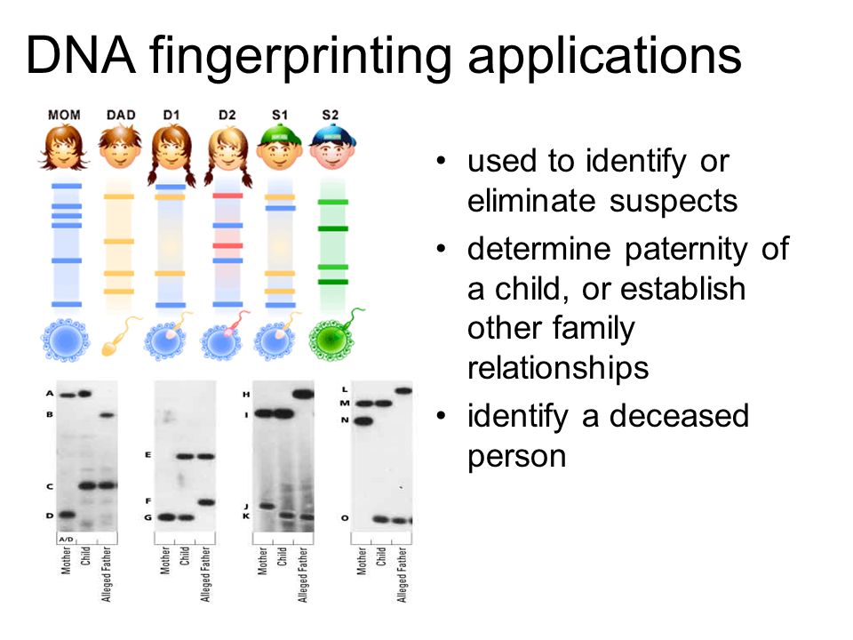 DNA fingerprinting applications