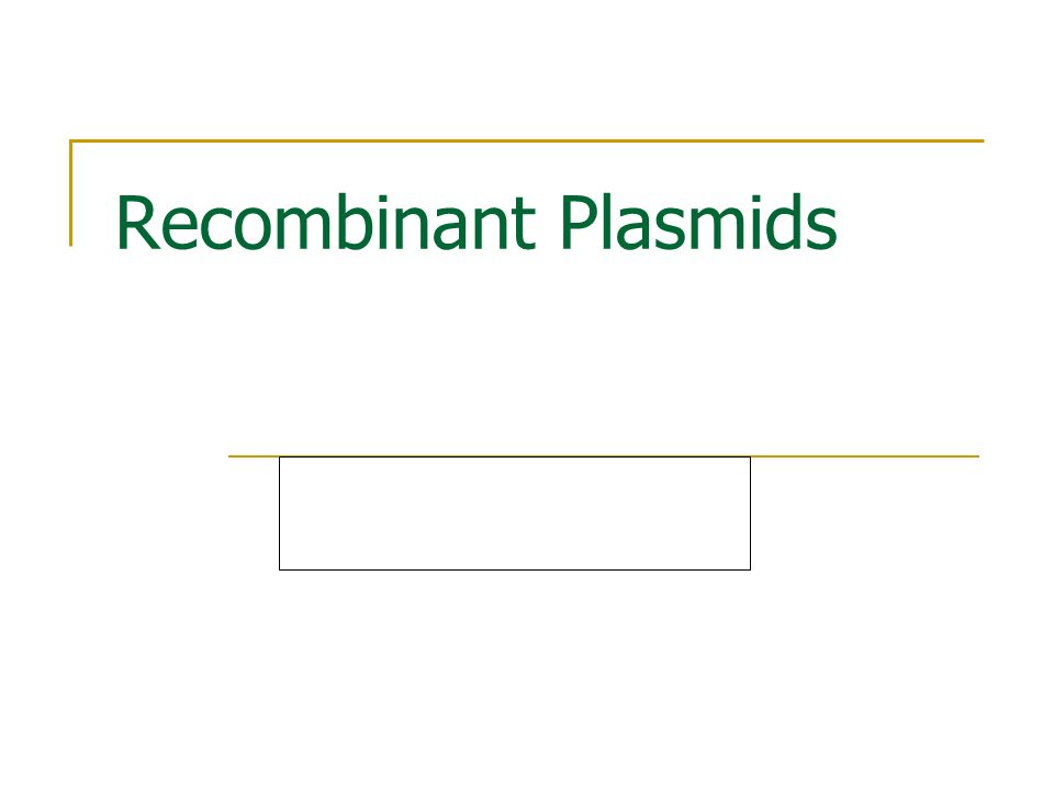 Recombinant Plasmids