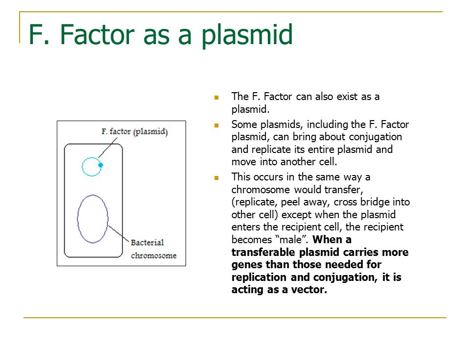 F. Factor as a plasmid The F. Factor can also exist as a plasmid.