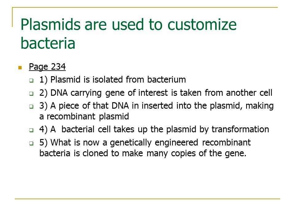 Plasmids are used to customize bacteria