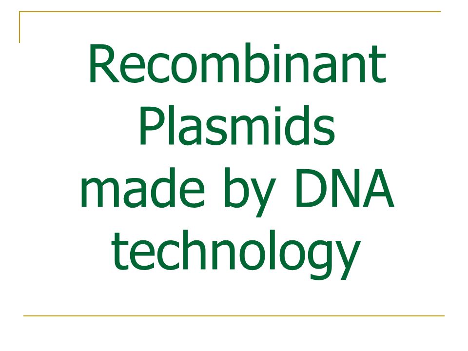 Recombinant Plasmids made by DNA technology