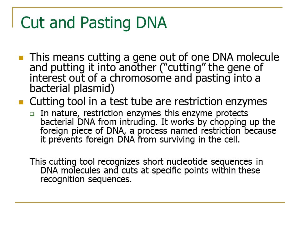 Cut and Pasting DNA