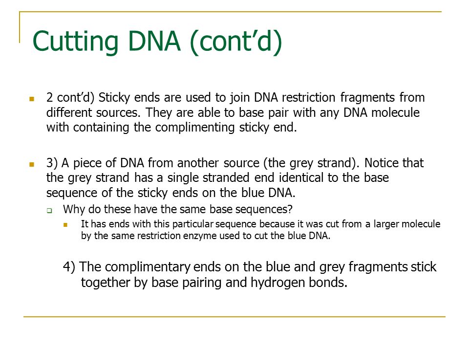 Cutting DNA (cont’d)