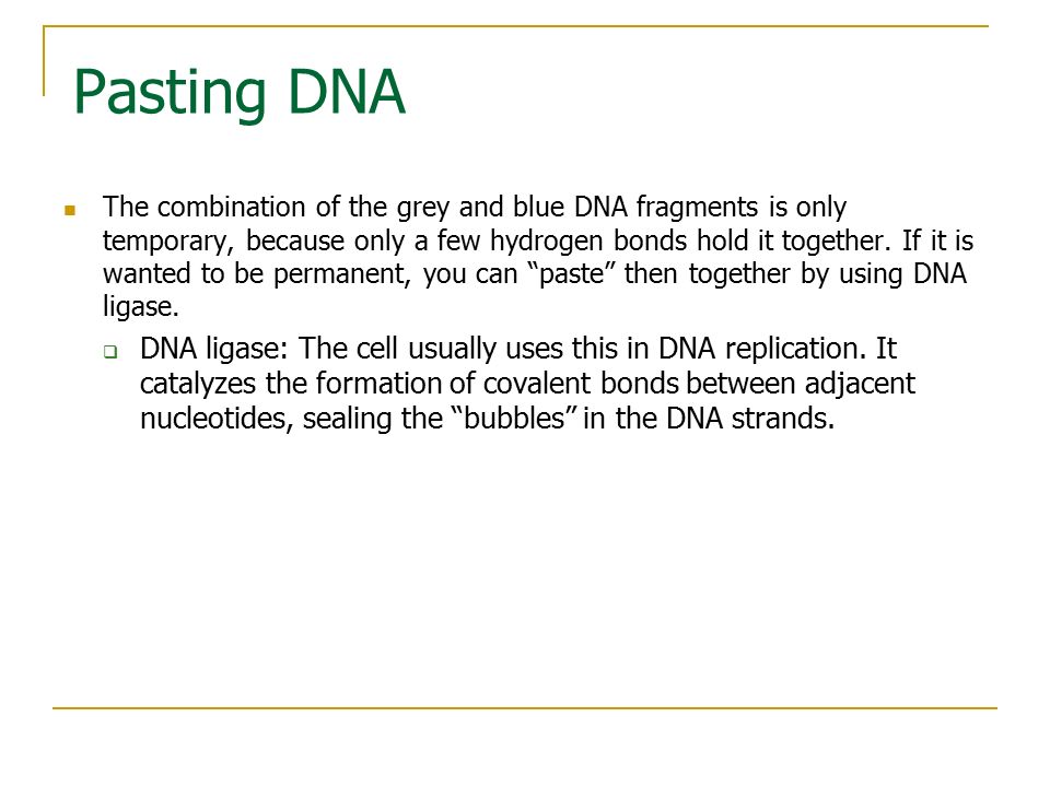 Pasting DNA