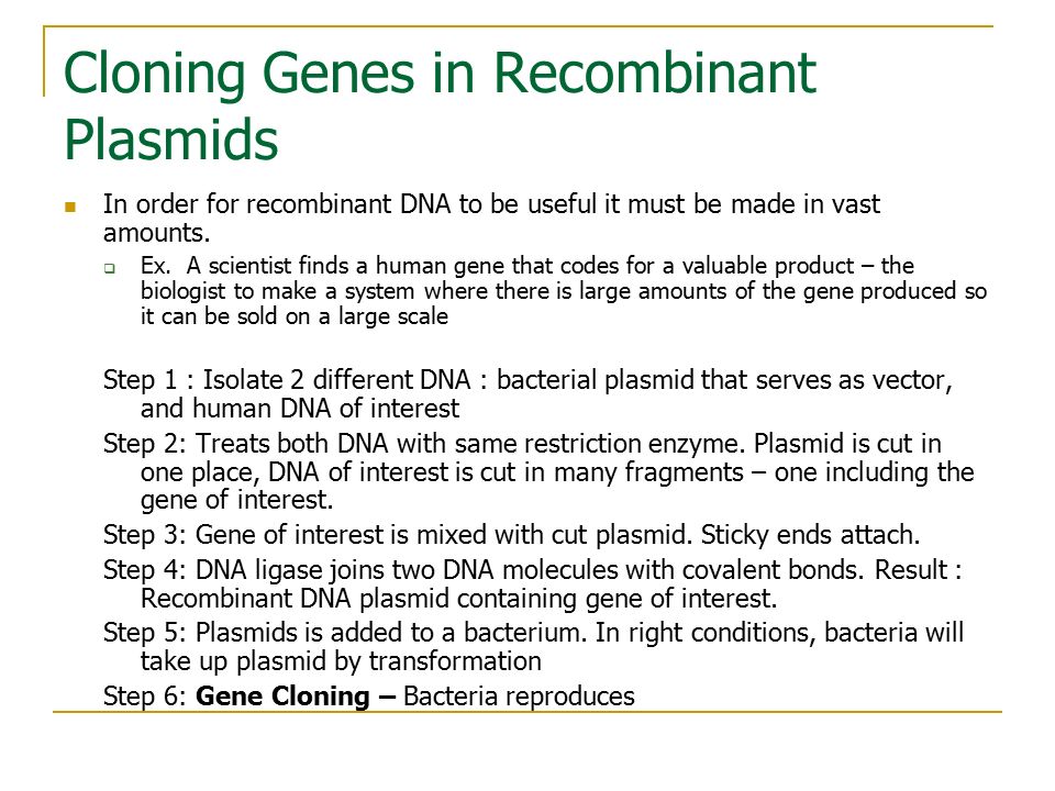 Cloning Genes in Recombinant Plasmids