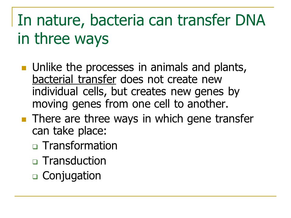 In nature, bacteria can transfer DNA in three ways