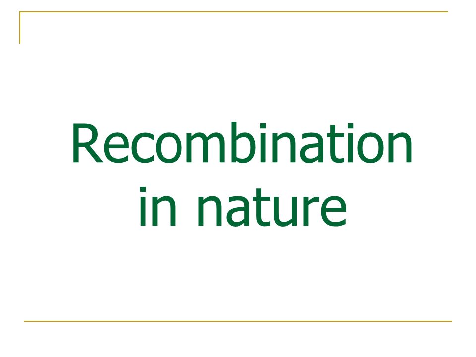 Recombination in nature