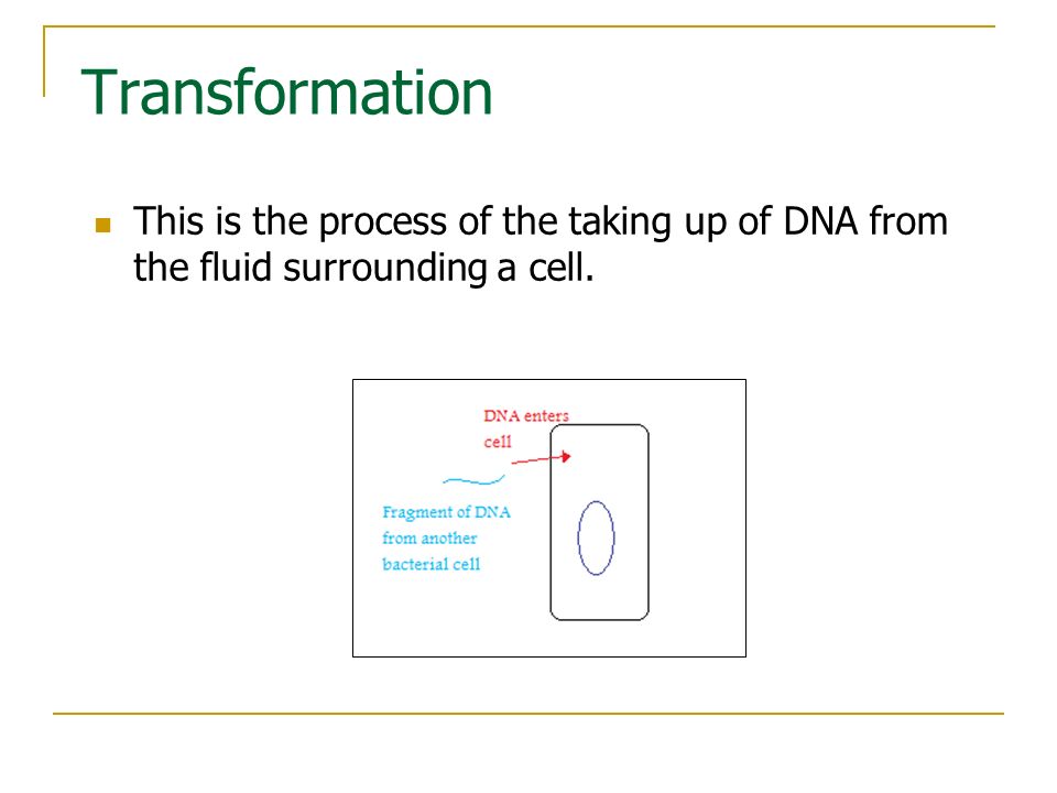 Transformation This is the process of the taking up of DNA from the fluid surrounding a cell.