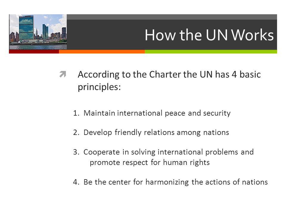 How the UN Works According to the Charter the UN has 4 basic principles: 1. Maintain international peace and security.