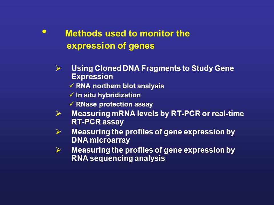 Ii Molecular Techniques For Studying Gene Expression Ppt Download