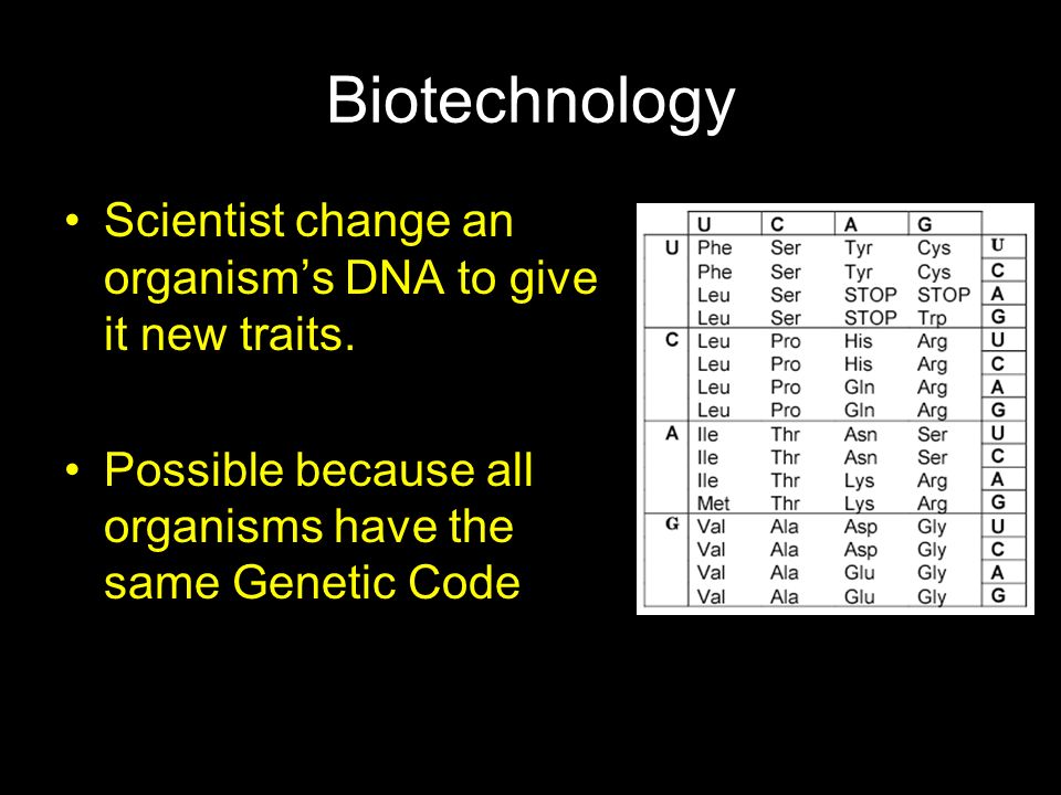 Biotechnology Scientist change an organism’s DNA to give it new traits.