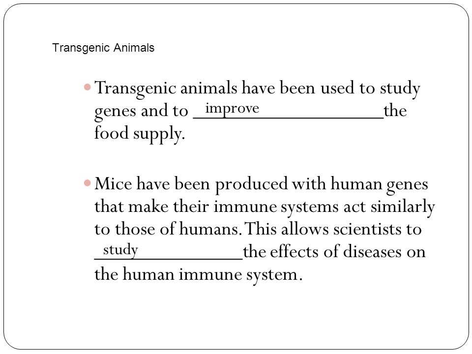 Transgenic Animals Transgenic animals have been used to study genes and to __________________the food supply.
