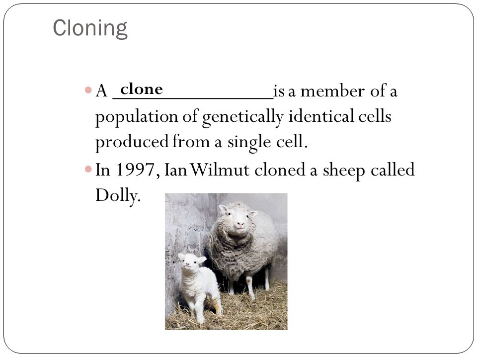 Cloning A _______________is a member of a population of genetically identical cells produced from a single cell.