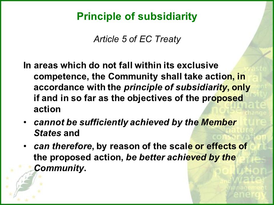 Principle of subsidiarity