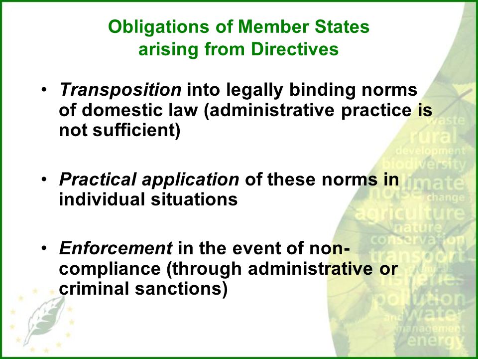 Obligations of Member States arising from Directives