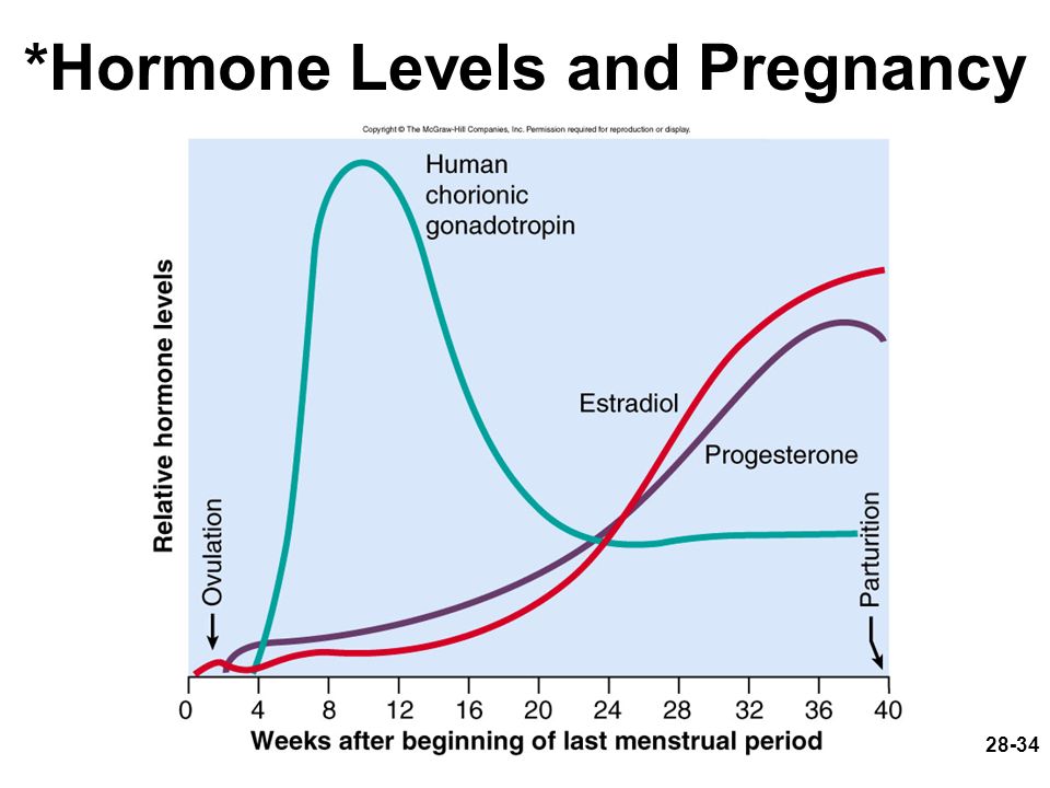Эстрадиол пролактин прогестерон. График изменений гормонов в беременность. Гормоны диаграмма. Гормоны в беременном цикле. График прогестерона в цикле.