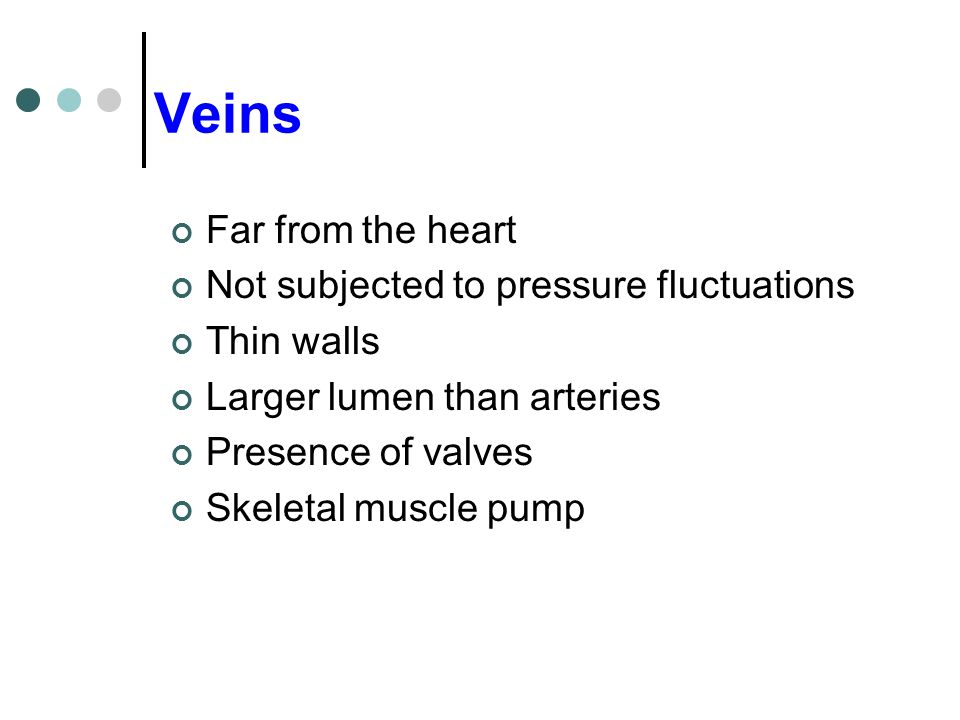 Veins Far from the heart Not subjected to pressure fluctuations