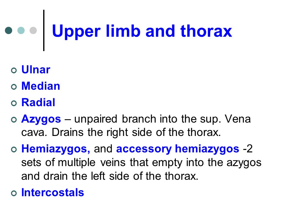 Upper limb and thorax Ulnar Median Radial