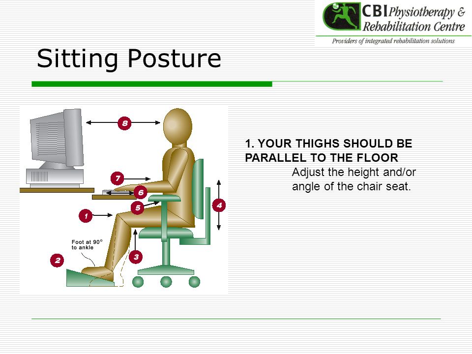 Sitting Posture 1. YOUR THIGHS SHOULD BE PARALLEL TO THE FLOOR
