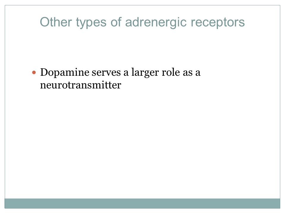 Other types of adrenergic receptors