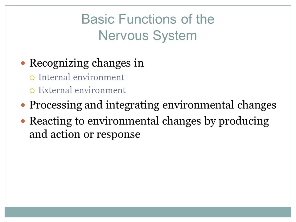 Basic Functions of the Nervous System