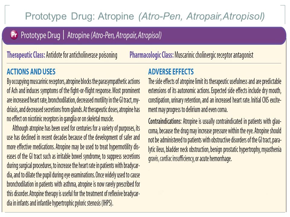 Prototype Drug: Atropine (Atro-Pen, Atropair,Atropisol)