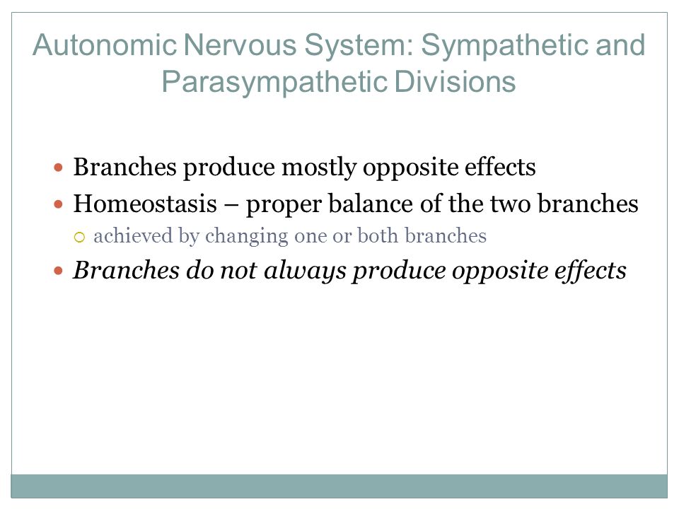 Autonomic Nervous System: Sympathetic and Parasympathetic Divisions