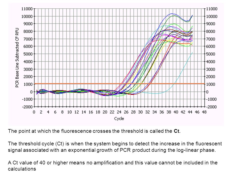 The point at which the fluorescence crosses the threshold is called the Ct.