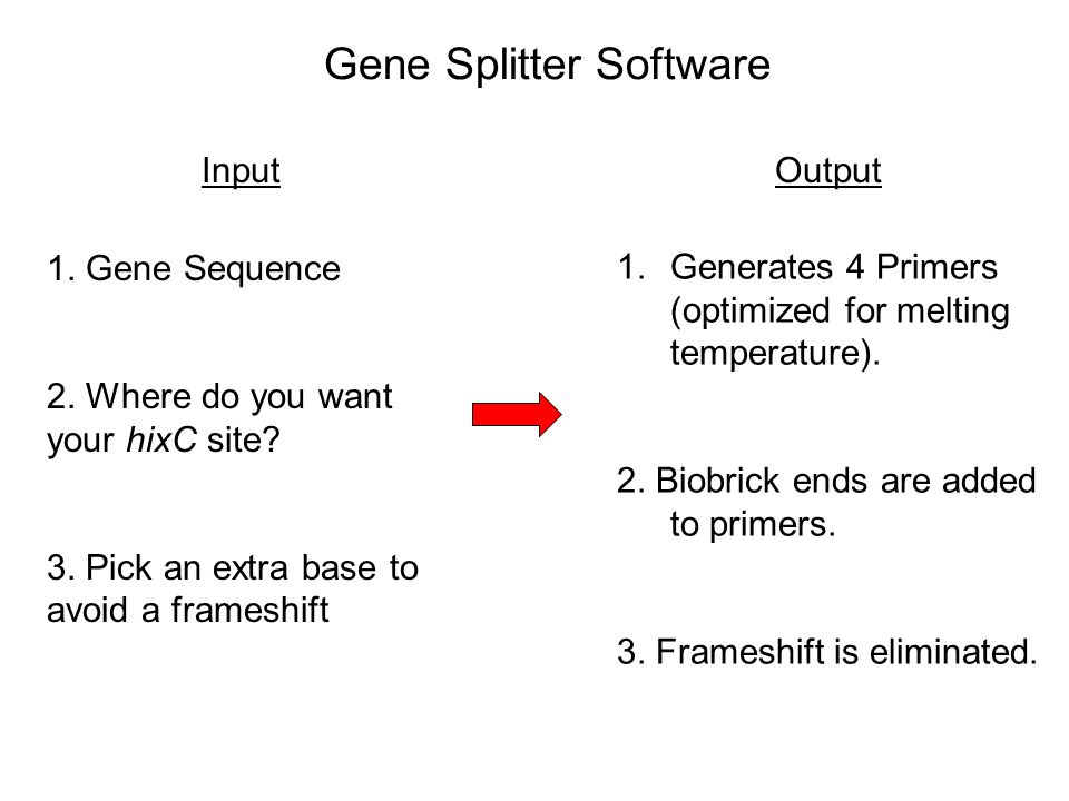 Gene Splitter Software