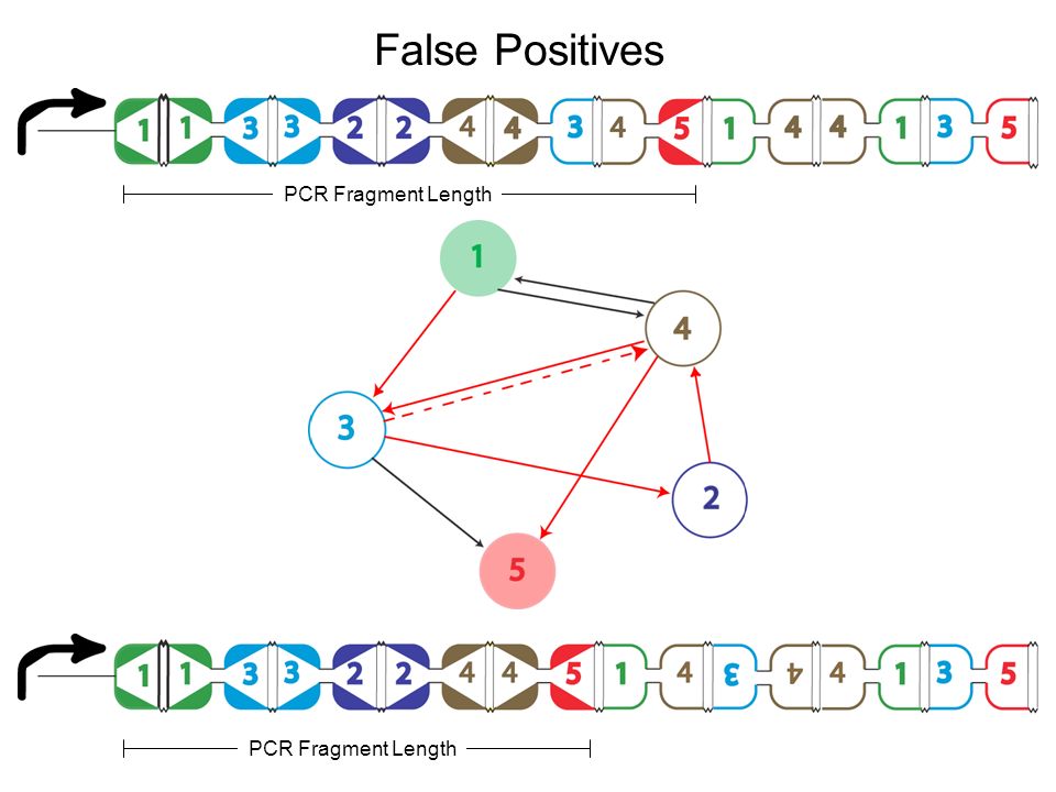 False Positives PCR Fragment Length PCR Fragment Length