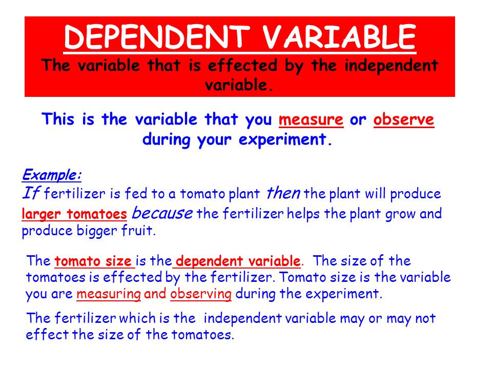 DEPENDENT VARIABLE The variable that is effected by the independent variable.