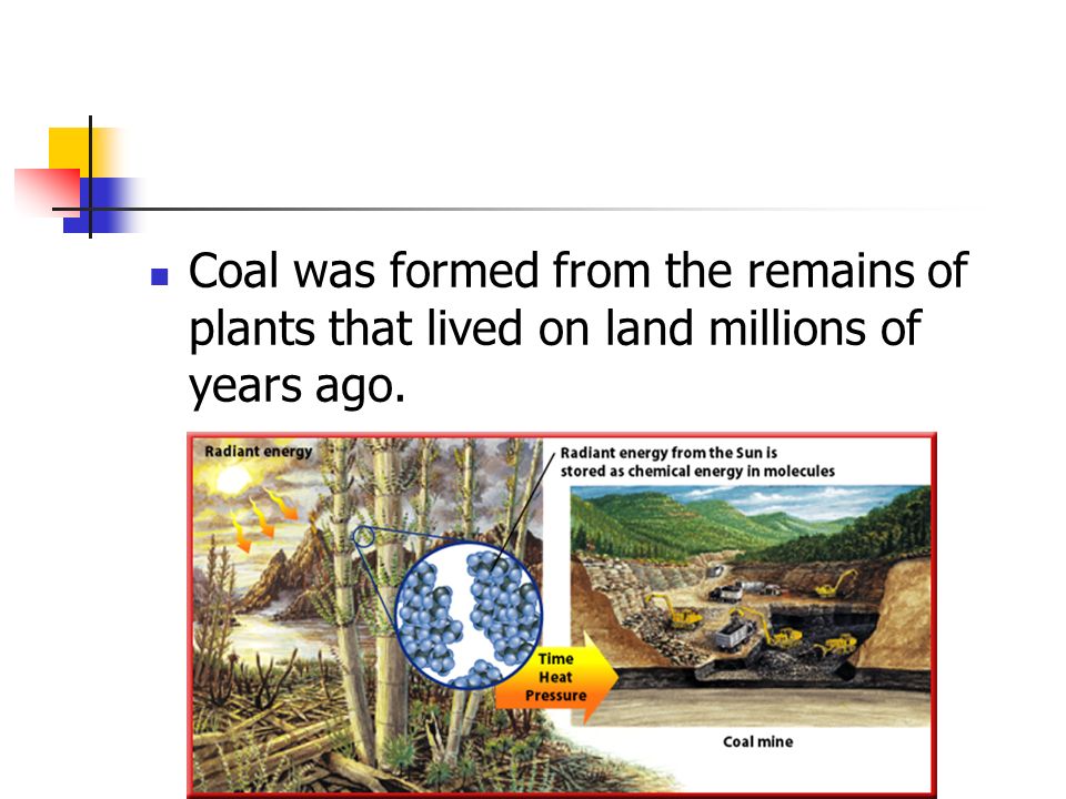 Coal was formed from the remains of plants that lived on land millions of years ago.
