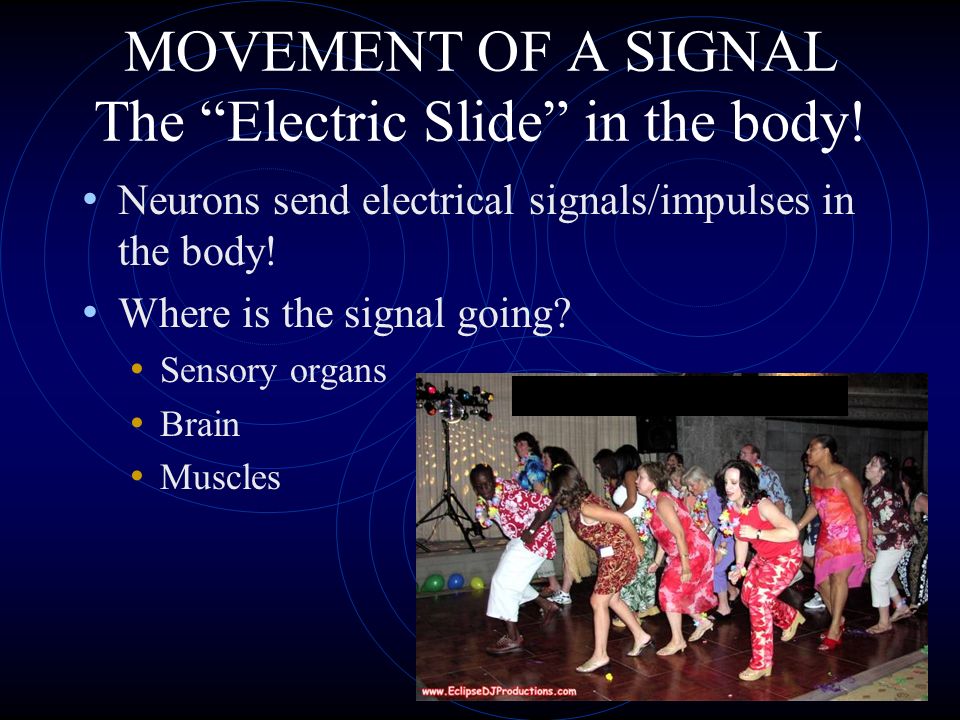 MOVEMENT OF A SIGNAL The Electric Slide in the body!