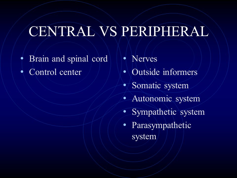 CENTRAL VS PERIPHERAL Brain and spinal cord Control center Nerves