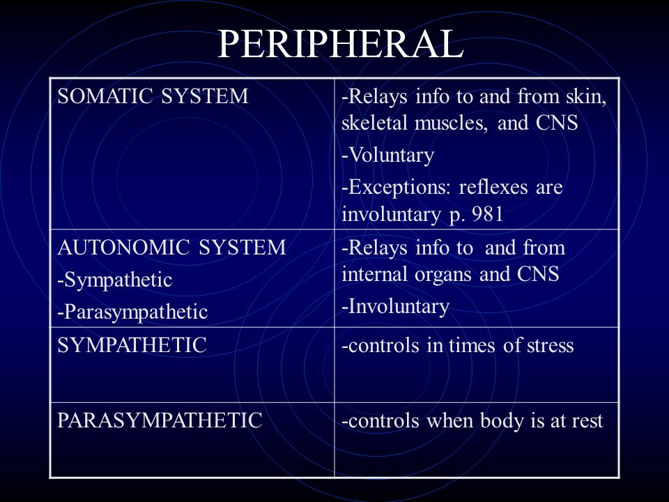 PERIPHERAL SOMATIC SYSTEM
