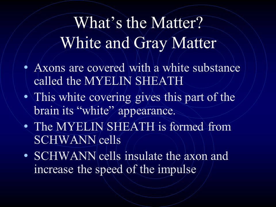 What’s the Matter White and Gray Matter