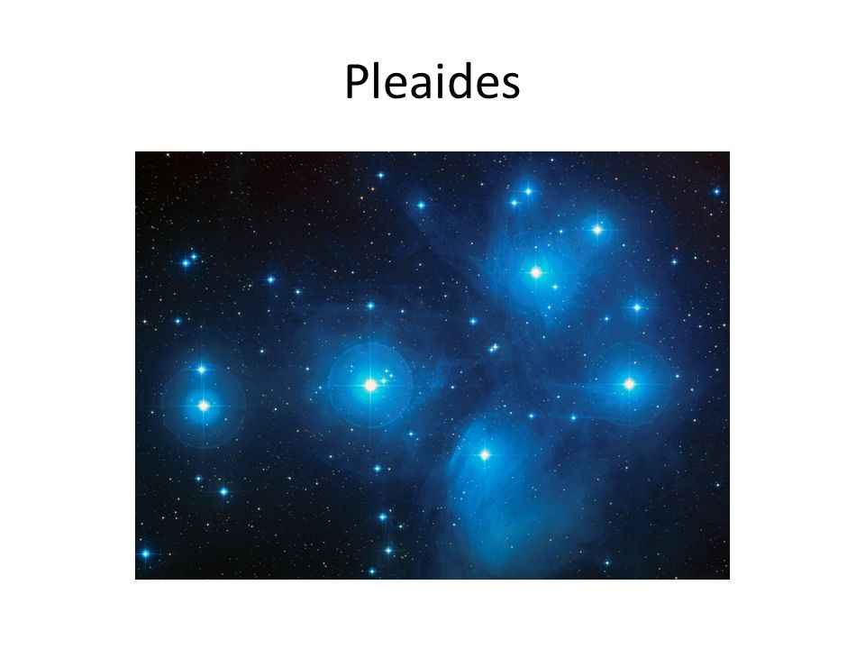 Pleaides