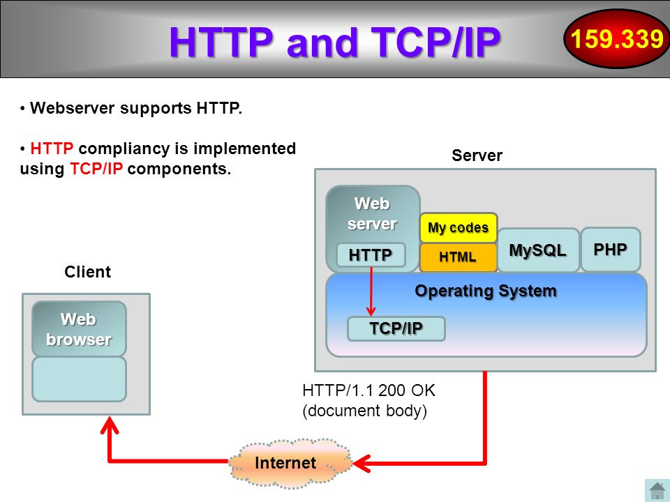 WWW, HTTP, INTERNET PROTOCOL STACK, TCP/IP, Xitami, CGI - ppt download