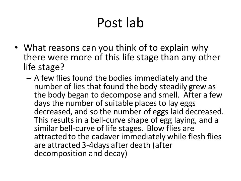 The Mystery Of Lyle And Louise A Forensic Entomology Lab Ppt